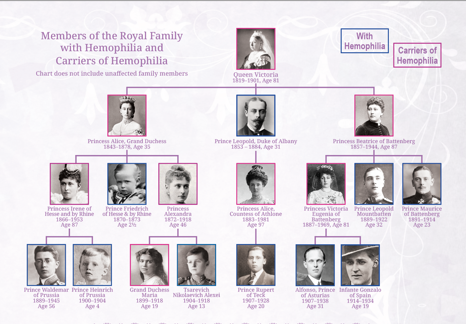 The Royal Disease: How Hemophilia Shaped Europe’s Royal Families 