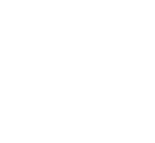 Best and Brightest logo